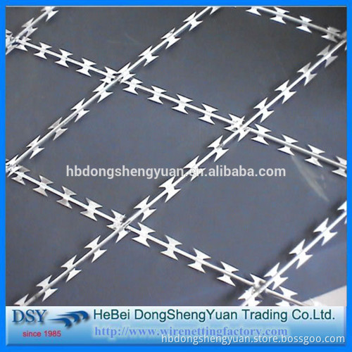 Concertina Wire Mesh Fencing/ Razor Barbed Wire Philippines